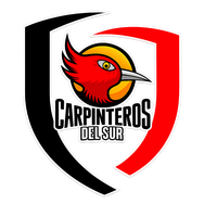 Carpinteros del Sur